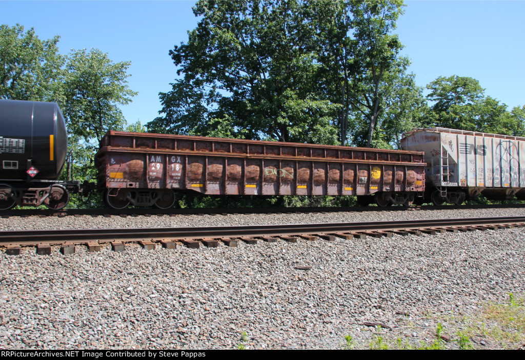 AMGX 2918
